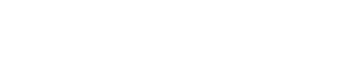 Nintendo logo